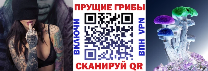 наркотики Печоры Псилоцибиновые грибы Psilocybine cubensis