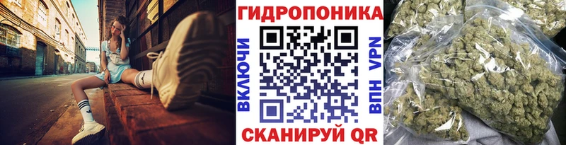 Каннабис ГИДРОПОН  Печоры 